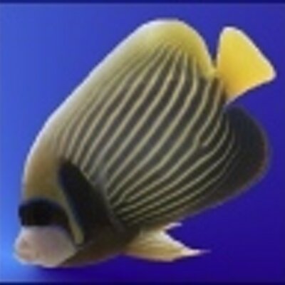 Profile Picture of Chad Penney (@cmpenney) on Twitter