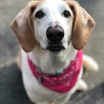 Profile Picture of Jaime Wing (@jaime.wing.18) on Facebook