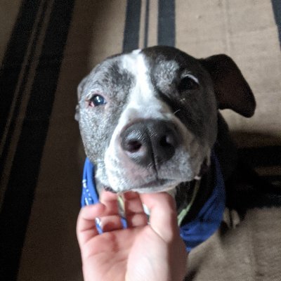 Profile Picture of Sean Pickard (@SeanPickard8) on Twitter