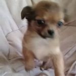 Profile Picture of Richard Worley (@richard.worley.737) on Instagram