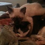 Profile Picture of Bari Boyd (@bari.boyd47) on Flickr