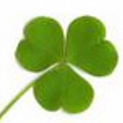 Profile Picture of Lisa Lucas Talbot (@goodcleanfair) on Twitter