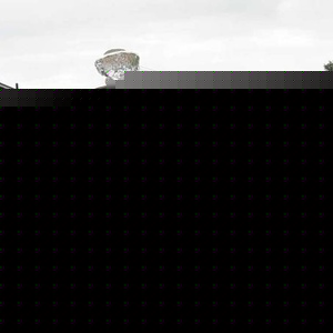 Profile Picture of Riann Eck (@rianneck) on Myspace