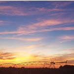 Profile Picture of savannah thorne mcgraw (@savannahthornemcgraw) on Instagram