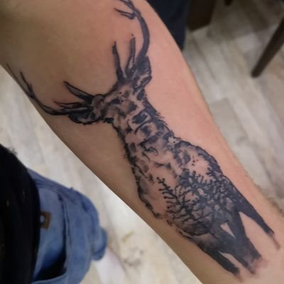 Profile Picture of Daniel Gürtler (@Danini_Bro) on Twitter