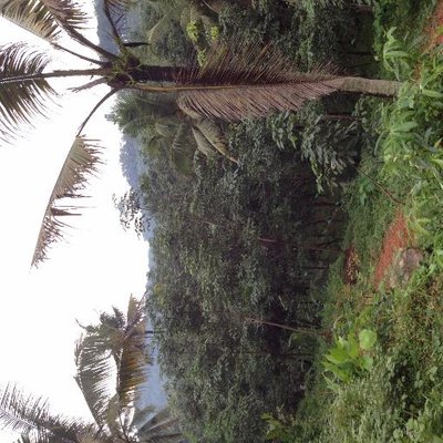 Profile Picture of Joby V John (@jobyvjohn2000) on Twitter