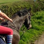 Profile Picture of Jasmine Warner (@jxsm._warner._) on Instagram