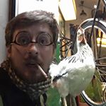 Tyler Morgan Mains - Instagram Profile Picture of Tyler Morgan Mains (@kentuckybirddog) on Instagram