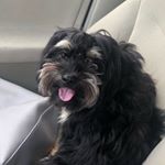Profile Picture of Bentley Steven Blankenship (@sirbentleythegreat) on Instagram