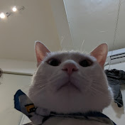 Profile Picture of Eric Tu (@renhaotu3756) on Youtube