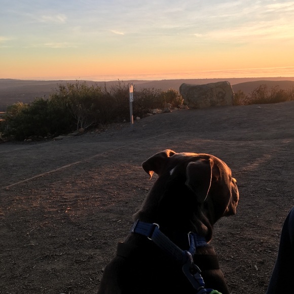 Profile Picture of Madison Olson (@madiolsom) on Poshmark