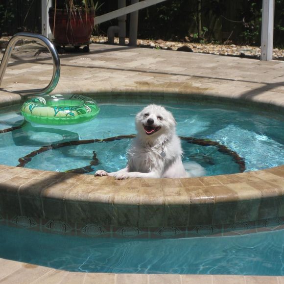 Profile Picture of Christine Trudel (@anyssa12) on Poshmark