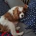 Profile Picture of Kenneth Chartrand (@kenneth.chartrand.75) on Facebook