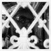 Profile Picture of Curtis Lester (@skykill666) on Pinterest
