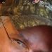 Profile Picture of Michael Perone (@michael.perone.503) on Facebook