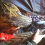 Profile Picture of Adam Maner (@adammaner) on Instagram
