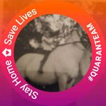 Profile Picture of steven lee trenkle (@stevenleetrenkle) on Instagram