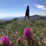 kyle:) - Instagram Profile Picture of kyle:) (@kyle._.liu) on Instagram