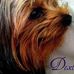 Profile Picture of Dexter Wade (@dexter.wade.14) on Facebook