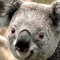 Profile Picture of Chris Cowles (@chris-cowles-4) on Quora