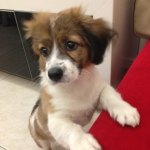 Profile Picture of Marc Zhang (@marcujabflussrohr) on Instagram