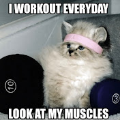 Profile Picture of Pamela Olson (@TooManyCats77) on Youtube