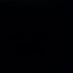 Profile Picture of Alison Workman (@itssals222) on Instagram