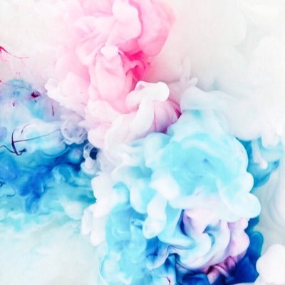 Profile Picture of Ximena Hoffman (@paula20trevino) on Twitter