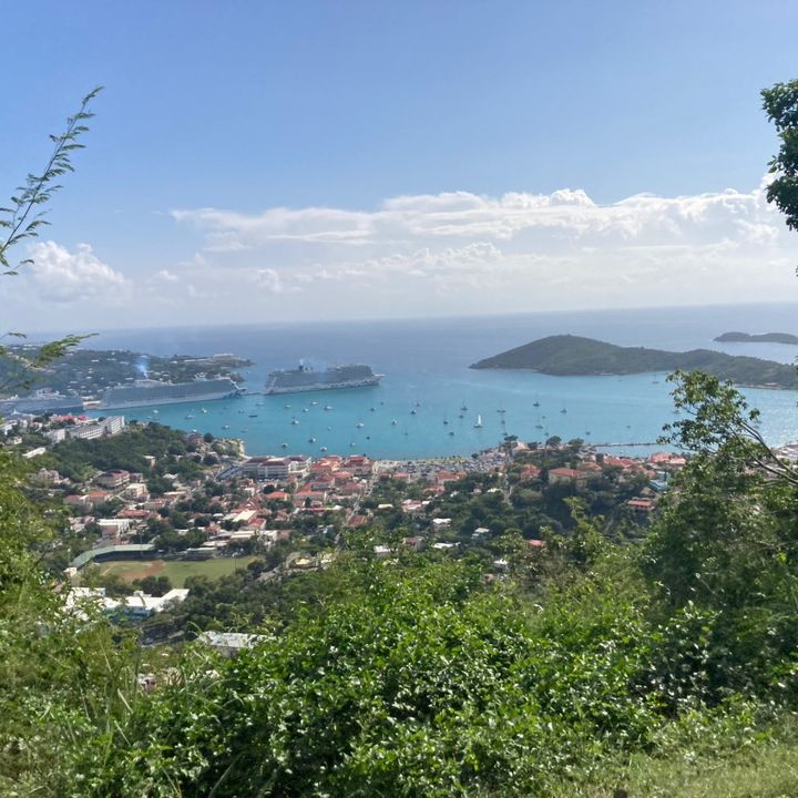 Profile Picture of Andrew Rumsey (@@andrewrumsey) on Tiktok