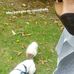Profile Picture of Nicholas Li (@nicholas.li.7547) on Facebook
