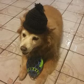 Profile Picture of Jaime Pedraza (@jaime.pedraza.9) on Facebook