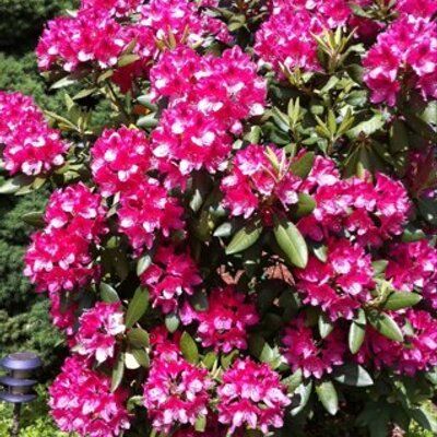 Profile Picture of Marilyn Hebert (@MarilynHebert) on Twitter