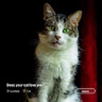 Profile Picture of Grook  (@grook) on Quora