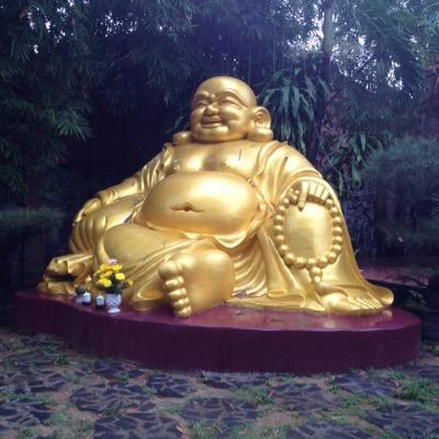 Profile Picture of Elena Taschini (@RotaMarc) on Twitter