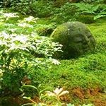 Profile Picture of Isako Yoshimura (@isakoyoshimura) on Instagram