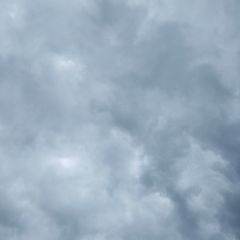 Profile Picture of bernardlodwitz4 (@bernardlodwitz4) on Tiktok