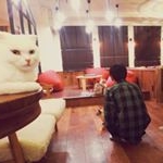 Profile Picture of Yusuke Nakano (@yusuke.0715) on Instagram