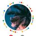 Profile Picture of Grace Kowarko (@gkowarko) on Pinterest