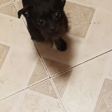 Profile Picture of Beth Patel (@BethPatel13) on Twitter