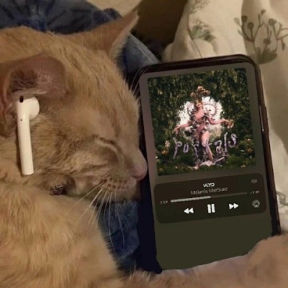 Analyse Alvarez - Poshmark Profile Picture of Analyse Alvarez (@sanriogirlana) on Poshmark