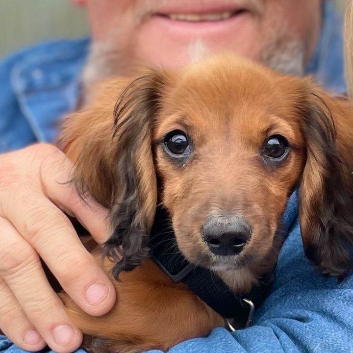 Profile Picture of Michael Perry (@michaelperry22) on Tiktok