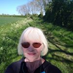 Profile Picture of Joyce willis (@septuagenarianrunner) on Instagram