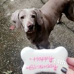 Profile Picture of Megan Sowder Morton (@memo082314) on Instagram