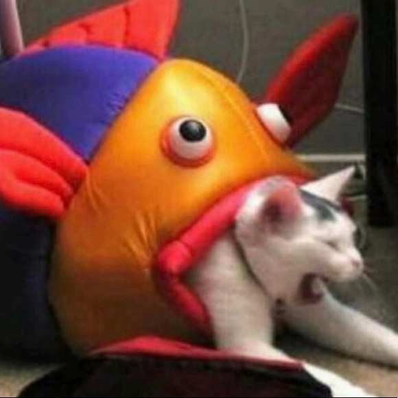 Alyssa Dammann - Poshmark Profile Picture of Alyssa Dammann (@shalyssa_d) on Poshmark