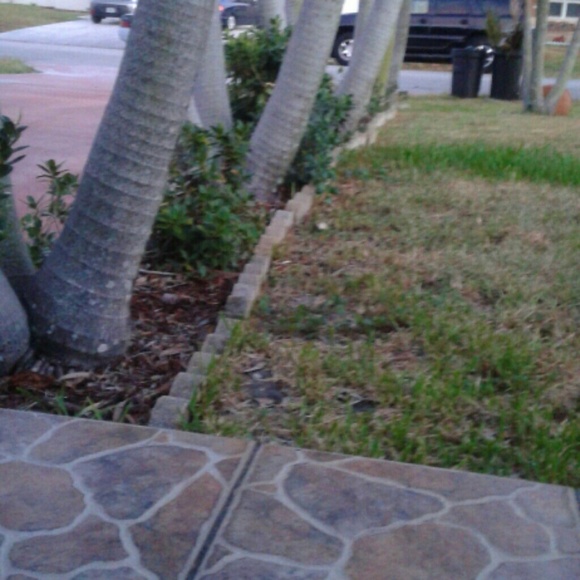 Shillene Ducasse - Poshmark Profile Picture of Shillene Ducasse (@shillened) on Poshmark