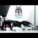 Profile Picture of CARLO - RIO DE JANEIRO (@carlo.rio.de.jainero) on Instagram