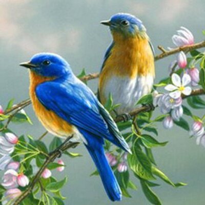 Michael Yousef Alam - Twitter Profile Picture of Michael Yousef Alam (@yousef_alam) on Twitter