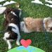 Profile Picture of JoAnn Sim (@joann.sim.90) on Facebook
