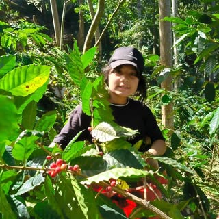 Profile Picture of Sol Zapata (@zapata.sol) on Instagram