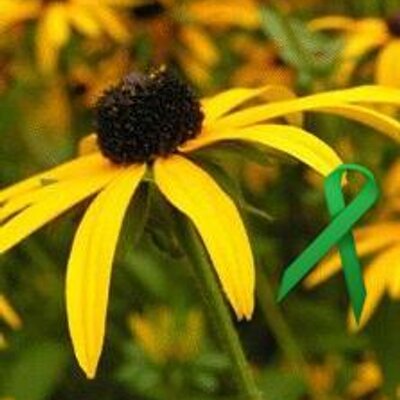 Profile Picture of Robert McMillan (@@GardenFocus) on Twitter